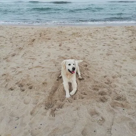 Apartment Morski Klimat