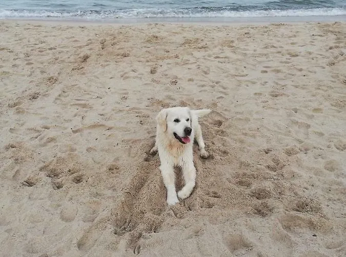 Apartmán Morski Klimat